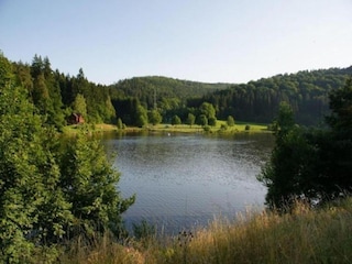 Apartment Airlenbach Umgebung 39