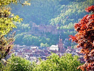 Apartment Airlenbach Umgebung 32