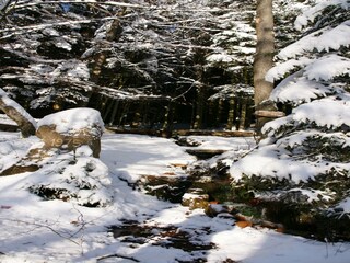 Apartment Airlenbach Environment 32