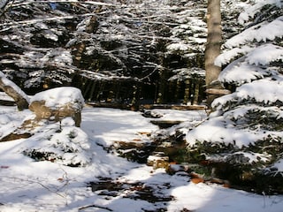 Apartment Airlenbach Umgebung 32