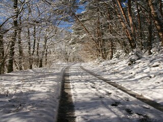 Apartment Airlenbach Umgebung 36