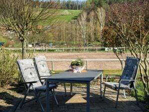 Luminoso apartamento de vacaciones en Odenwald con una soleada terraza propia - Airlenbach - image1