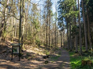 Apartment Airlenbach Umgebung 32