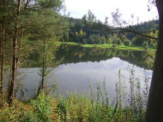 Appartement Airlenbach Environnement 30