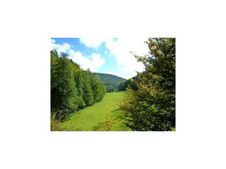 Apartamento Airlenbach Entorno 26