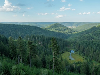 Apartment Kniebis Environment 24