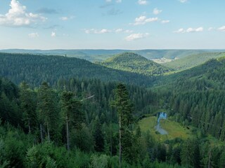 Appartement Kniebis Environnement 26