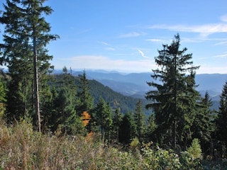 Apartment Kniebis Environment 25