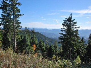 Appartement Kniebis Environnement 27