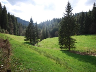 Apartment Kniebis Umgebung 28