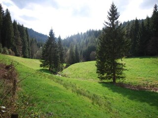 Appartamento Kniebis Ambiente 26