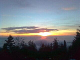 Apartment Kniebis Environment 32