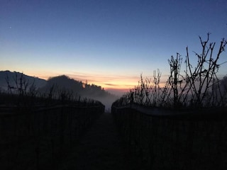 Apartment Kniebis Umgebung 31