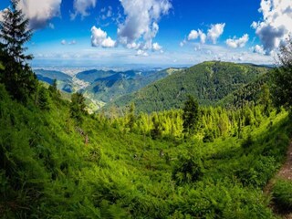 Appartement Kniebis Environnement 32