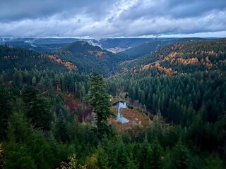 Apartment Kniebis Umgebung 38