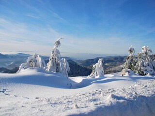 Appartamento Kniebis Ambiente 40