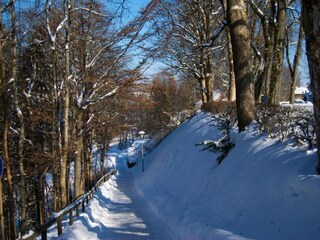 Apartamento Kniebis Entorno 20