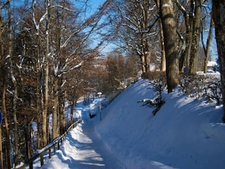 Apartment Kniebis Umgebung 20