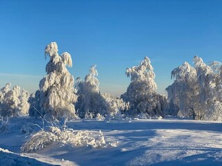 Appartement Kniebis Omgeving 36