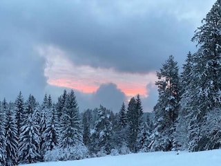 Apartment Kniebis Umgebung 37