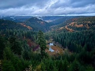 Apartment Kniebis Umgebung 24