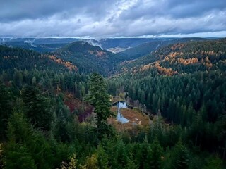 Appartement Kniebis Environnement 24