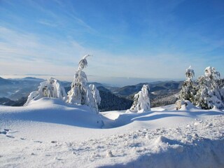 Apartment Kniebis Umgebung 25