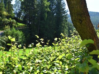 Appartement Mitteltal Buitenaudio-opname 9