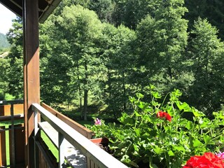 Apartment Mitteltal Außenaufnahme 3