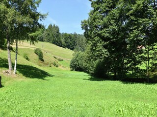 Appartement Mitteltal Buitenaudio-opname 6