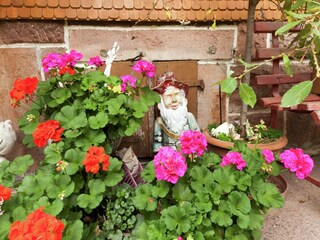 Appartement Mitteltal  25