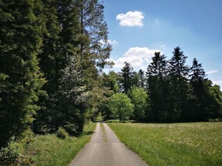 Apartamento Ettmannsweiler Entorno 30