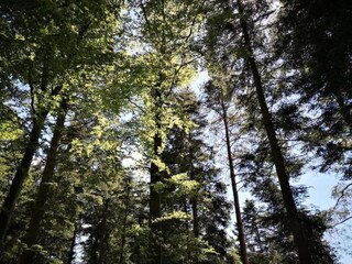 Appartement Ettmannsweiler Omgeving 29