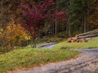Appartement Ettmannsweiler Environnement 19