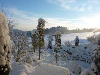 Appartement Ettmannsweiler Omgeving 23