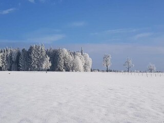 Apartment Ettmannsweiler Environment 30
