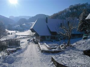 Comfortabel vakantieappartement op een prachtige locatie - Welschensteinach - image1