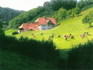 Appartement Welschensteinach Enregistrement extérieur 5