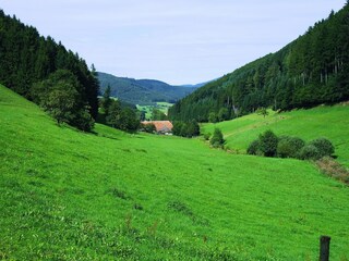 Apartamento Welschensteinach Entorno 17