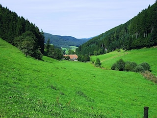 Apartment Welschensteinach Environment 17