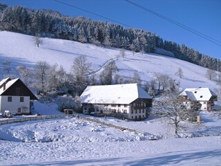 Appartement Welschensteinach Buitenaudio-opname 9