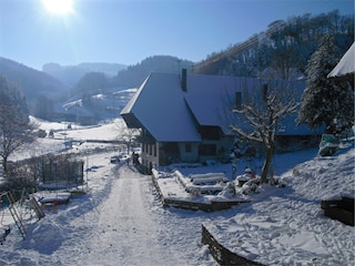 Appartamento Welschensteinach Registrazione all'aperto 5