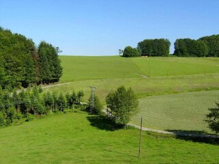 Appartement Welschensteinach Omgeving 13
