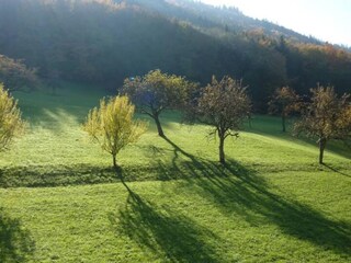 Appartamento Welschensteinach Ambiente 28