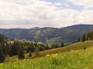 Appartement Welschensteinach Omgeving 22
