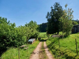 Appartamento Welschensteinach Ambiente 28