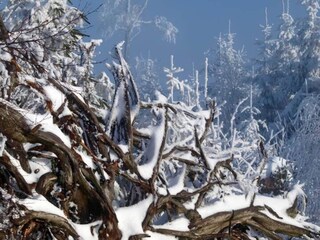 Appartamento Welschensteinach Ambiente 19