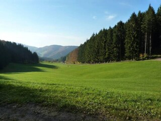 Appartamento Welschensteinach Ambiente 13