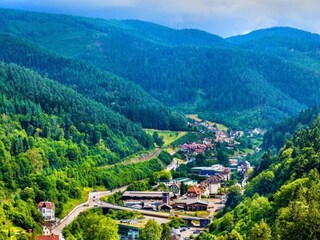 Appartamento Welschensteinach Ambiente 27