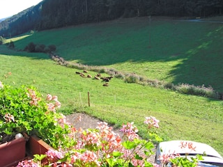 Apartamento Welschensteinach Grabación al aire libre 5